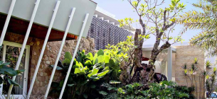 25 Ide Desain Taman Tropis yang Cantik